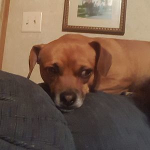 Meet your Posher, Terri